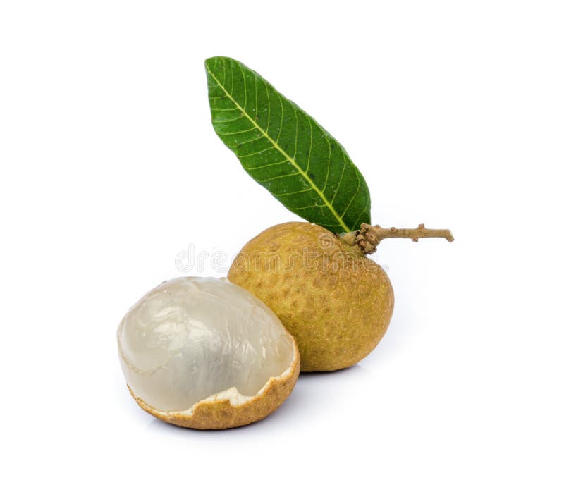 Longan fruit. stock image