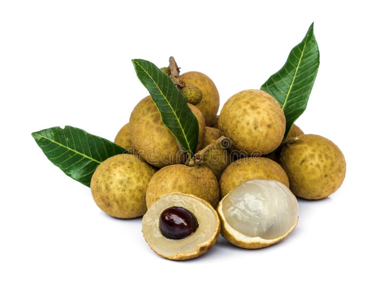 Longan fruit. royalty free stock image