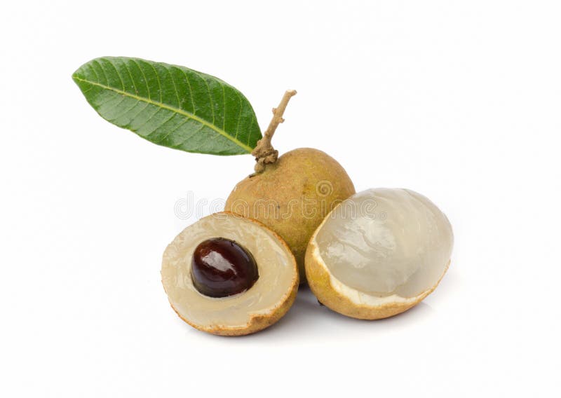 Longan fruit. stock photo