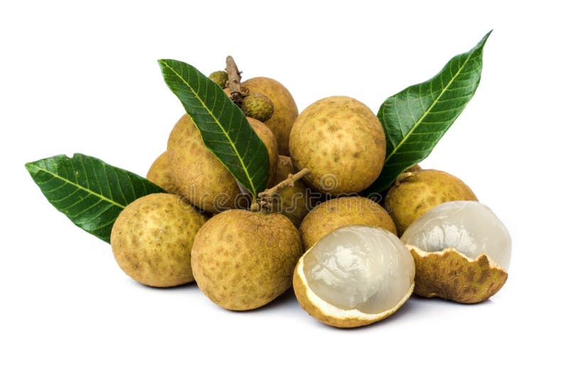 Longan fruit. stock photography