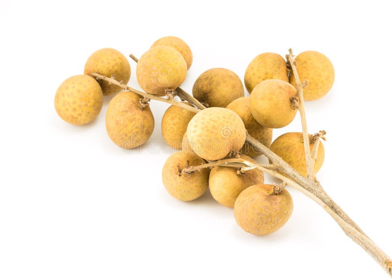Longan stock photos
