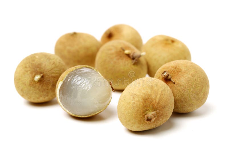 Gambar 5 Biji Longan