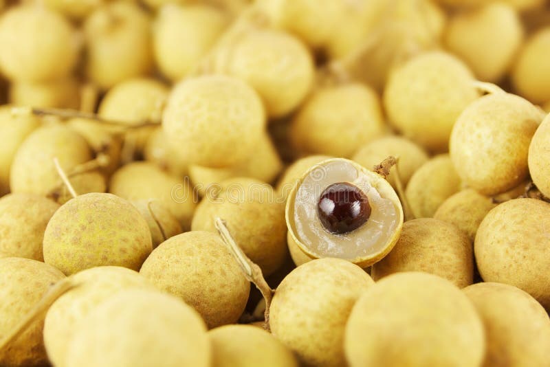 Longans stock foto