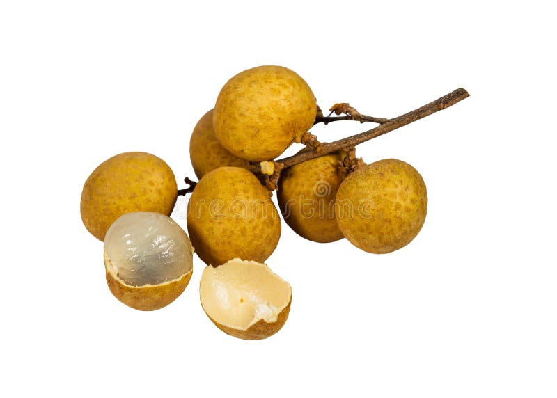 Longans royalty-vrije stock afbeeldingen