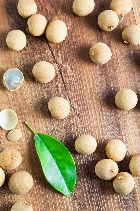 Longanblad royalty-vrije stock afbeeldingen