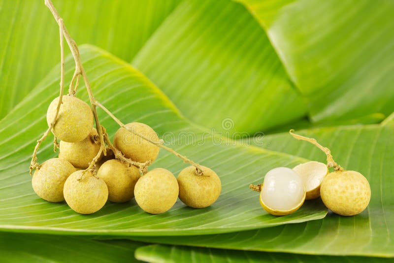 Longans op bladeren stock fotografie