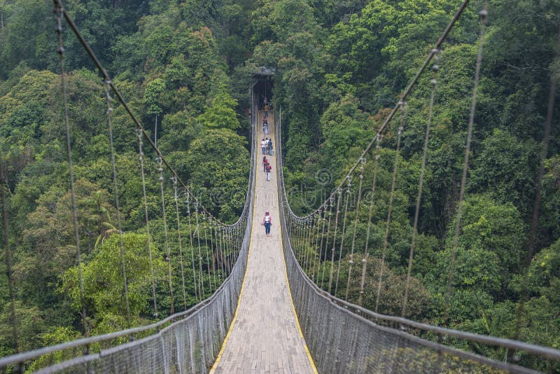 Suspension bridge Sukabumi editorial photography. Image of river