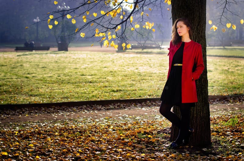 Longing of the fall. Lonesome woman in fall near tree stock image