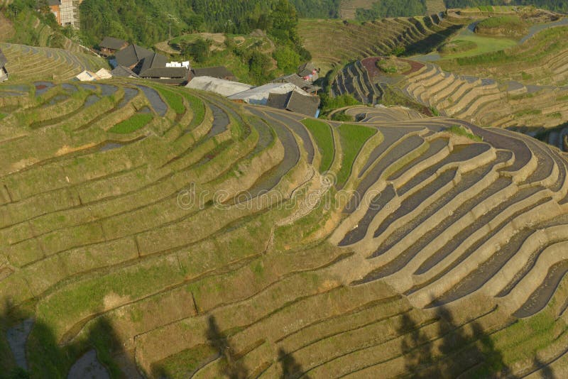 Longji-Reisterrassen, Guangxi-Provinz, China stockfotos Longji-Reisterrassen, Guangxi-Provinz, China stockfotos