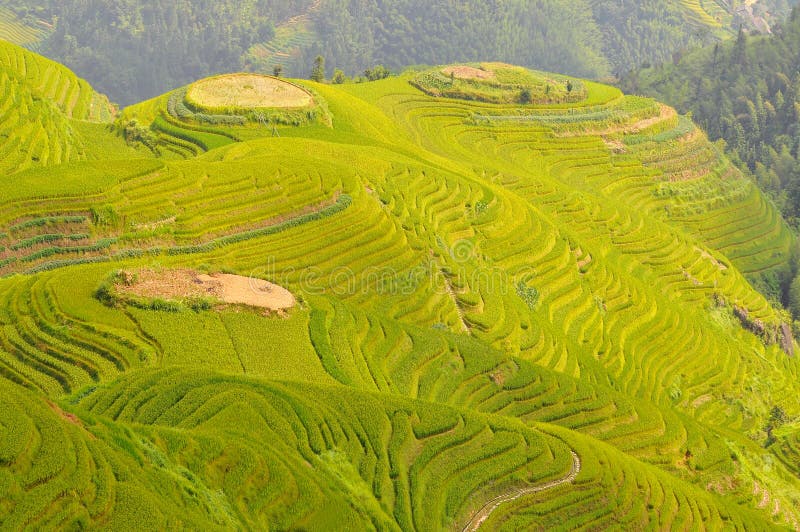 Longji terraces risfält nära Guilin, Guangxi, Kina royaltyfria foton Longji terraces risfält nära Guilin, Guangxi, Kina royaltyfria foton