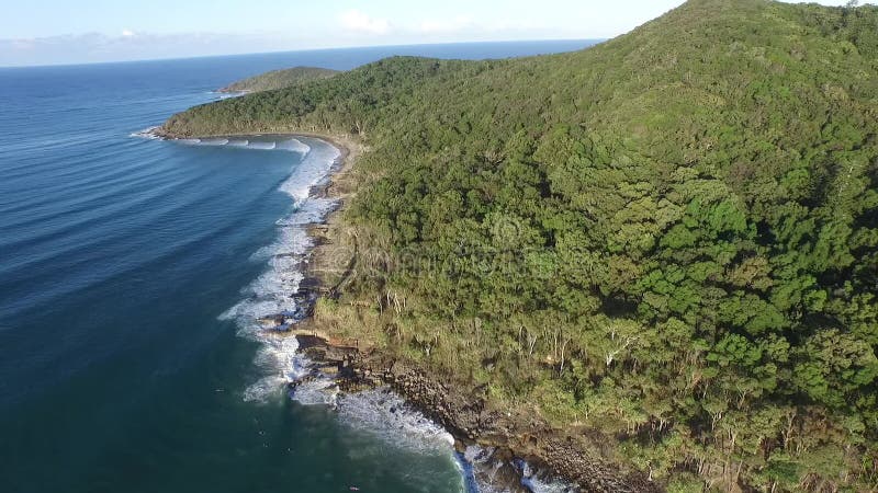 Longueur aérienne de parc national de Noosa banque de vidéos