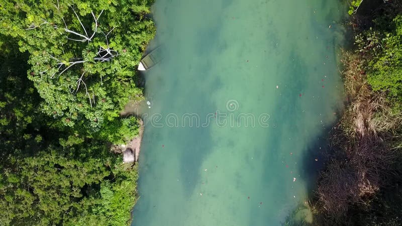 Longueur aérienne de White River, Ocho Rios, Jamaïque banque de vidéos