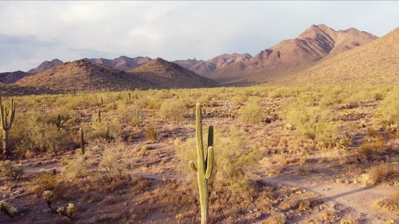 Longueur du drone de collines du désert de l'Arizona