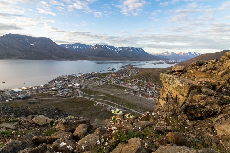 Longyearbyen and the Advent fjord seen from Platafjellet, the Plata mountain, in Svalbard. Papavers and other flowers in