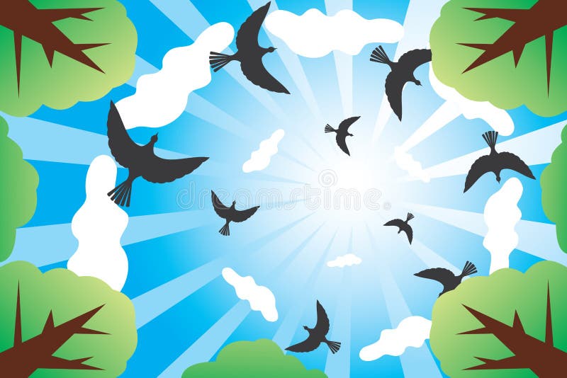 Look at sunny sky with birds and clouds from down.