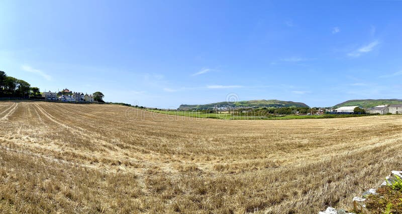 Looking across hay fields towards Port Erin, Isle of Man. Looking towards the coastal town of Port Erin across hay fields along the road from Cregneash, Isle of stock images Looking across hay fields towards Port Erin, Isle of Man. Looking towards the coastal town of Port Erin across hay fields along the road from Cregneash, Isle of stock images