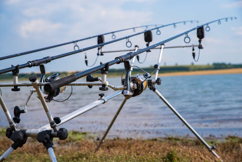 Carp Fishing. Rods on Rod Pod on Wood Platform at Lake Stock Photo - Image  of concept, green: 172855702