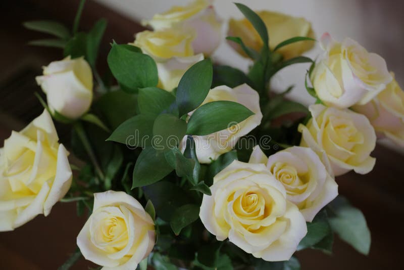 A Bouquet of Yellow Long Stem Roses and Greenery Stock Photo Image of