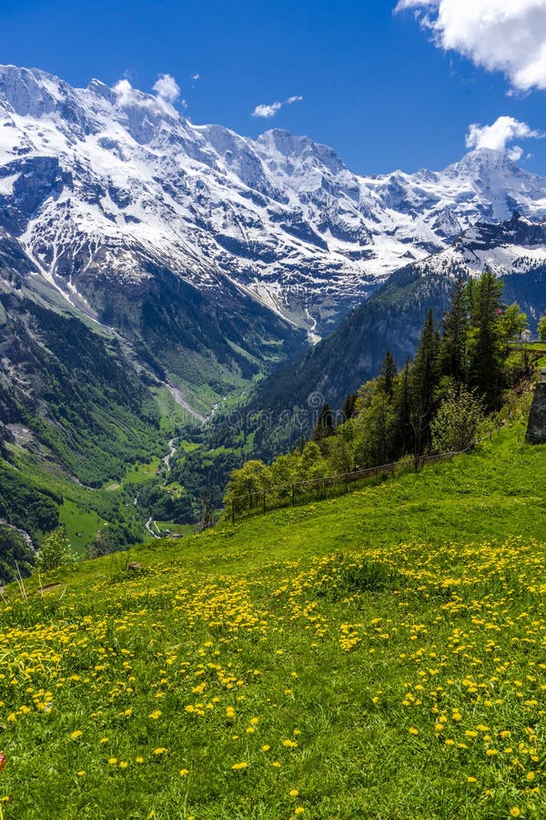 Looking down into the valley between the snow capped mountains