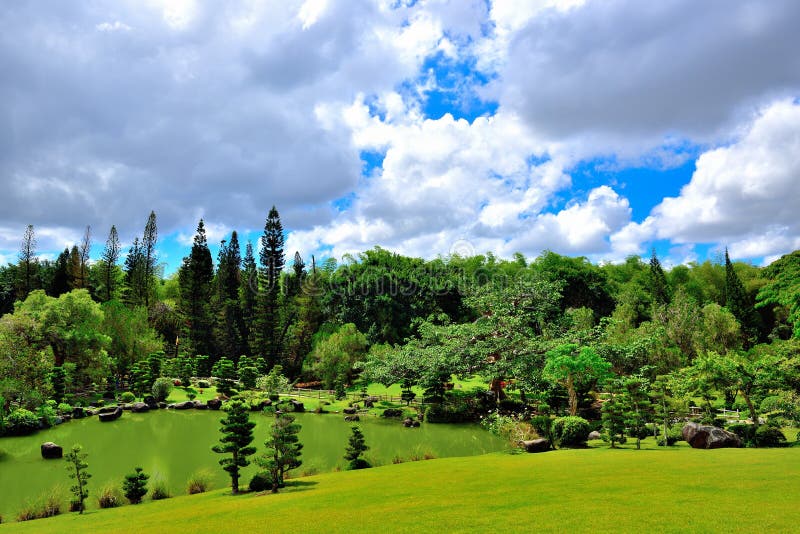 Looking downhill on a garden stock images Looking downhill on a garden stock images