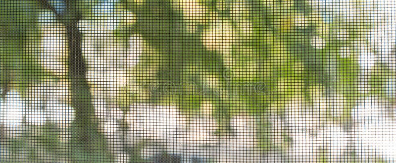 Looking Out Through Screen at Trees Outside royalty free stock photo Looking Out Through Screen at Trees Outside royalty free stock photo