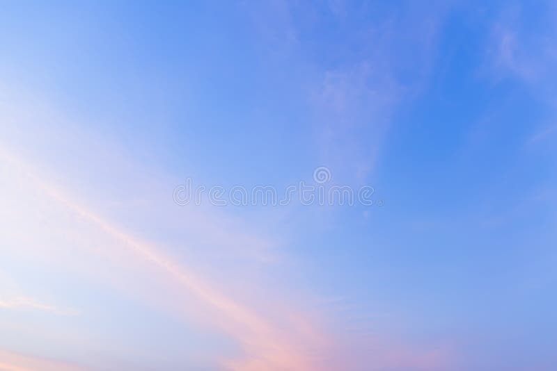 Looking at the Sky with the Wind Blowing through. Stock Photo Image