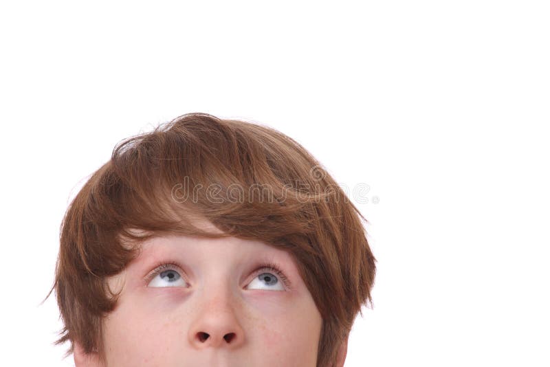 Looking up stock photos