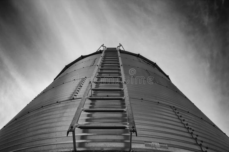 Looming steel grain bin