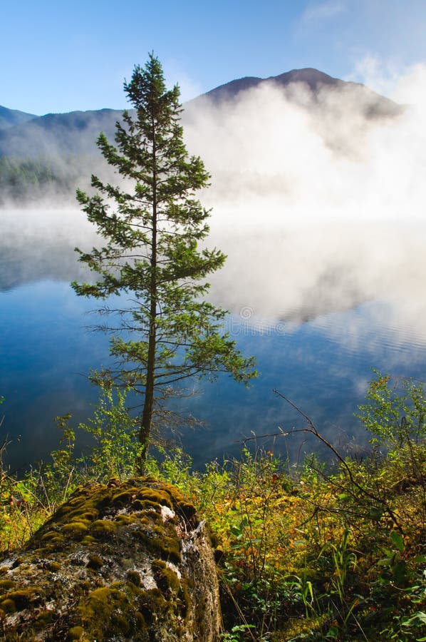 Camping on Loon Lake British Columbia Canada. Landscape Nature Early
