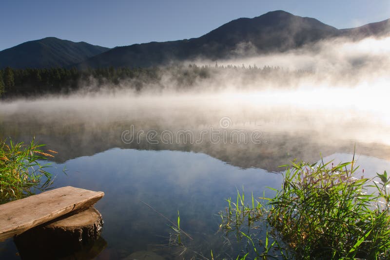 Loon Lake BC stock photo. Image of lakes, pine, kananaskis 22015552