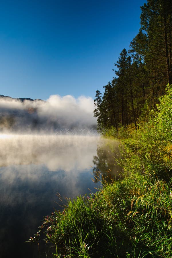 Loon Lake BC stock image. Image of provincial, tree, camping 36321639