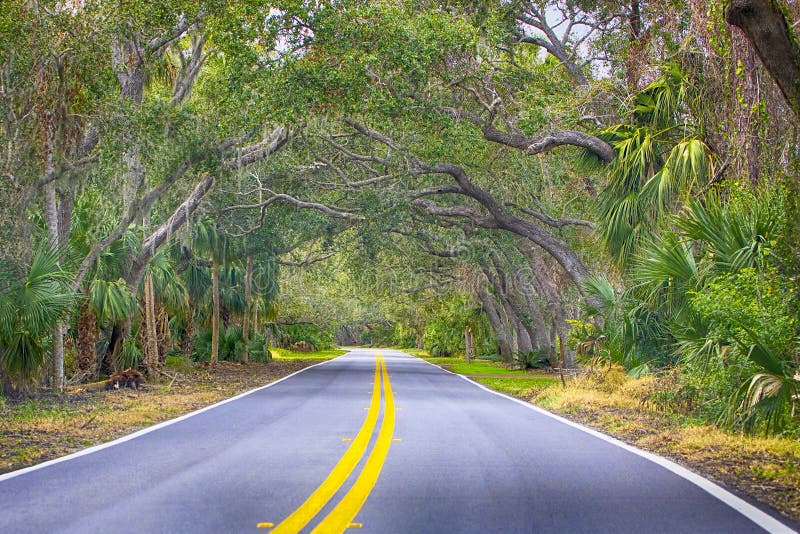 The Loop, Ormond Beach, Florida