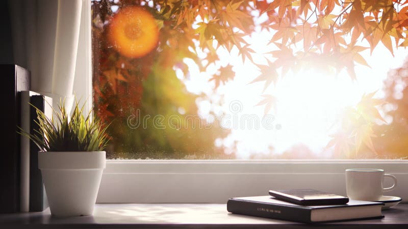 Filmulețe pline cu arțari de toamnă și lumină solară puternică și dimineața proaspătă în fața ferestrei stock video footage
