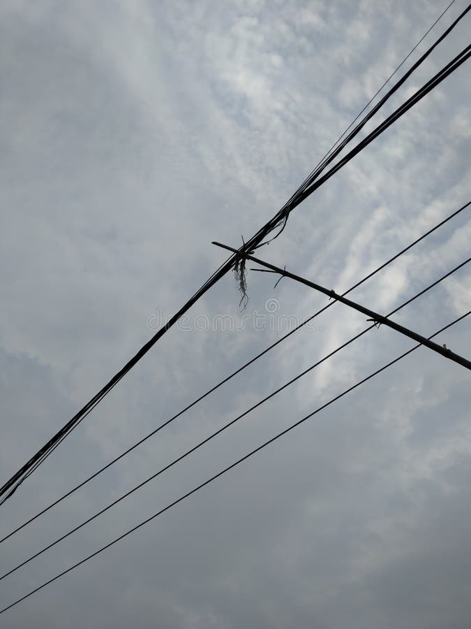 Loose Electrical Wires Dangling from Bamboo Stalks Stock Image Image