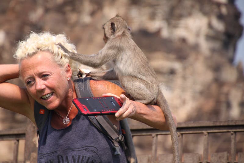 LOPBURI, THAILAND - JANUARY 9 2019: Tourist Woman attacked by monkeys stealing her sunglasses royalty free stock image LOPBURI, THAILAND - JANUARY 9 2019: Tourist Woman attacked by monkeys stealing her sunglasses royalty free stock image