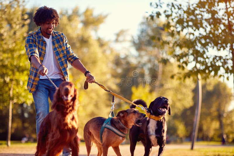_lopen hond - mens hond leurder genieten met hond