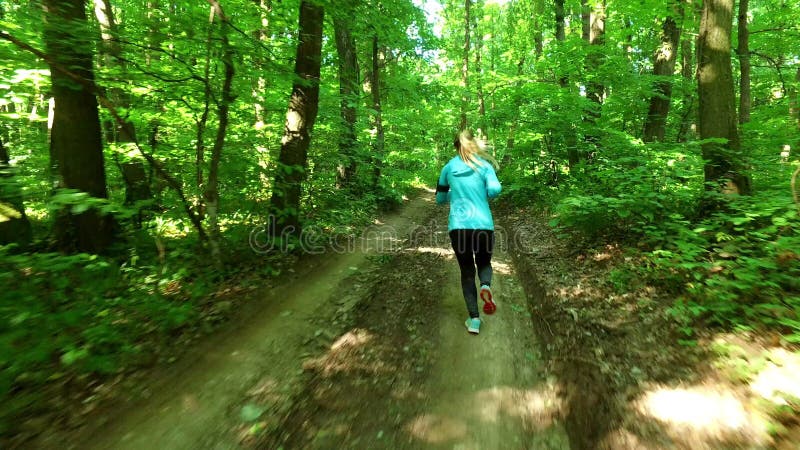 Lopende jogging in bosvrouw opleiding, het lopen, het aanstoten, geschiktheid, agent-4k video