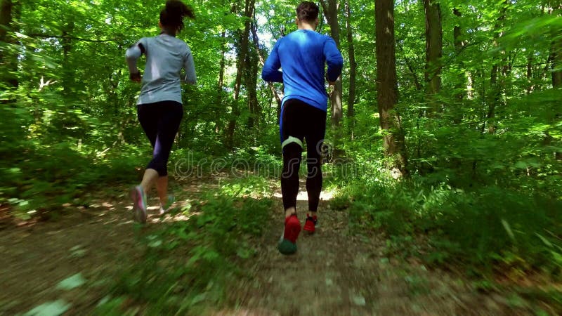 Lopende jogging in bosvrouw opleiding, het lopen, het aanstoten, geschiktheid, agent-4k video