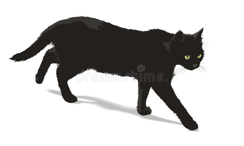 Lopende zwarte kat