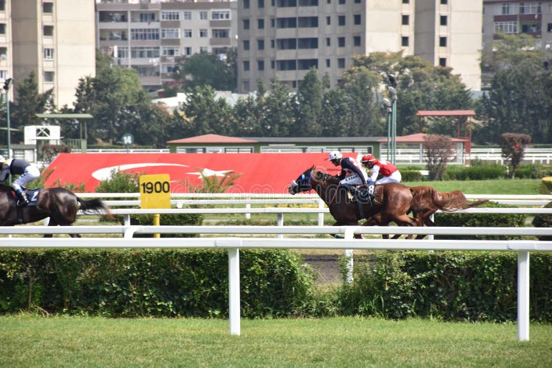 Lopphäst och jockey som galopperar ner loppspåret arkivbild Lopphäst och jockey som galopperar ner loppspåret arkivbild