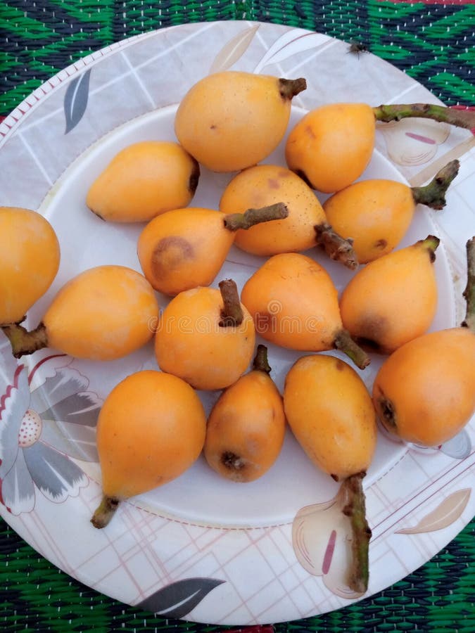 Loquat fruit of summer stock image. Image of fruit, summerfruit 181800419