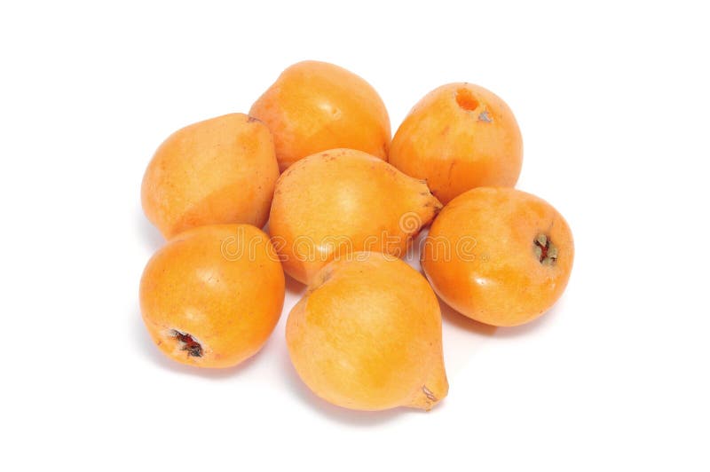 Loquats