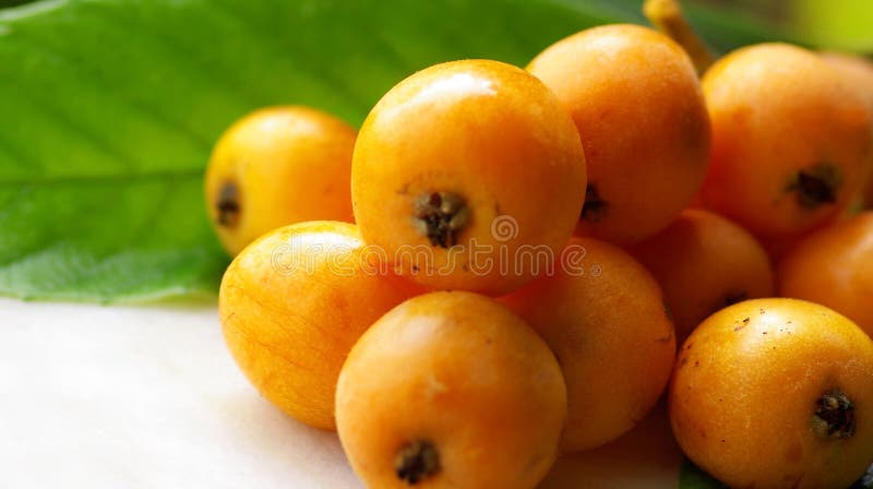 Ώριμα κουμκουάτ στοκ εικόνες με δικαίωμα ελεύθερης χρήσης