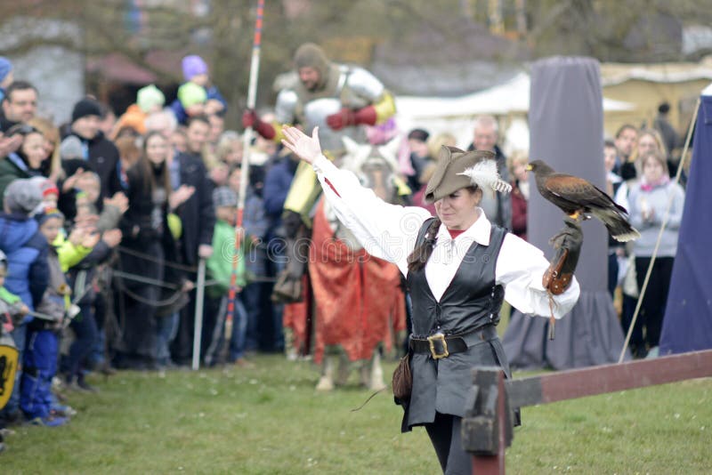 06.04.2015 Lorelay Germany - woman in traditional medieval clothes holding a falcon on her arm falcony show. 06.04.2015 Lorelay Germany - woman in traditional medieval clothes holding a falcon on her arm falcony show