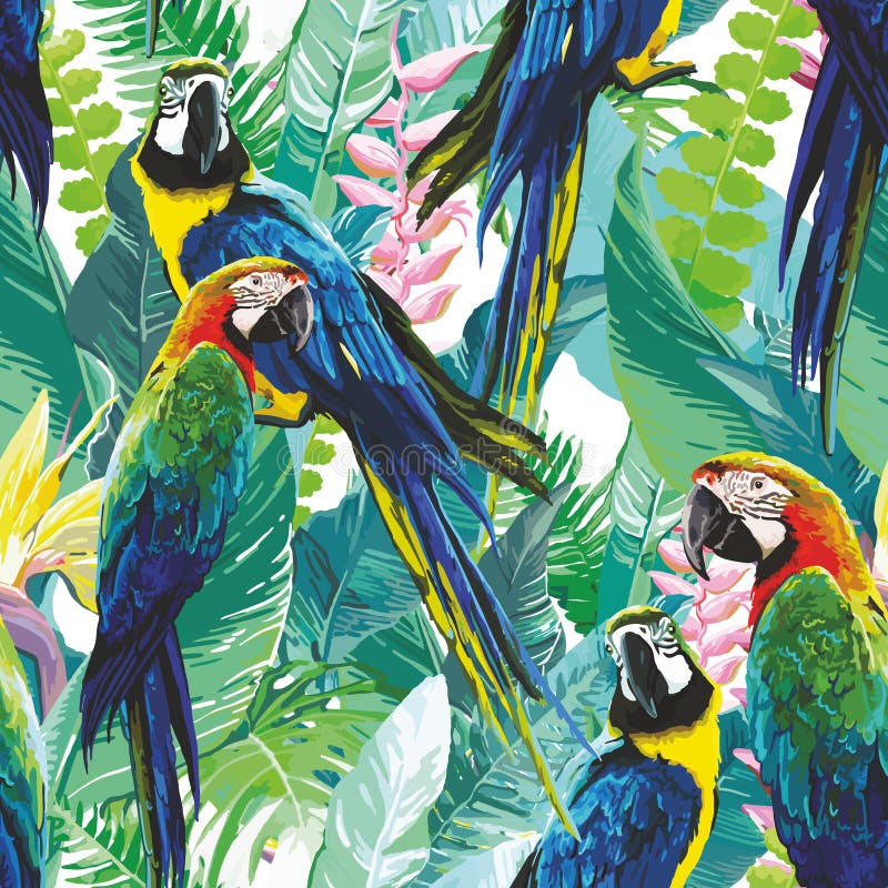 Loros coloridos y flores exóticas libre illustration Loros coloridos y flores exóticas libre illustration