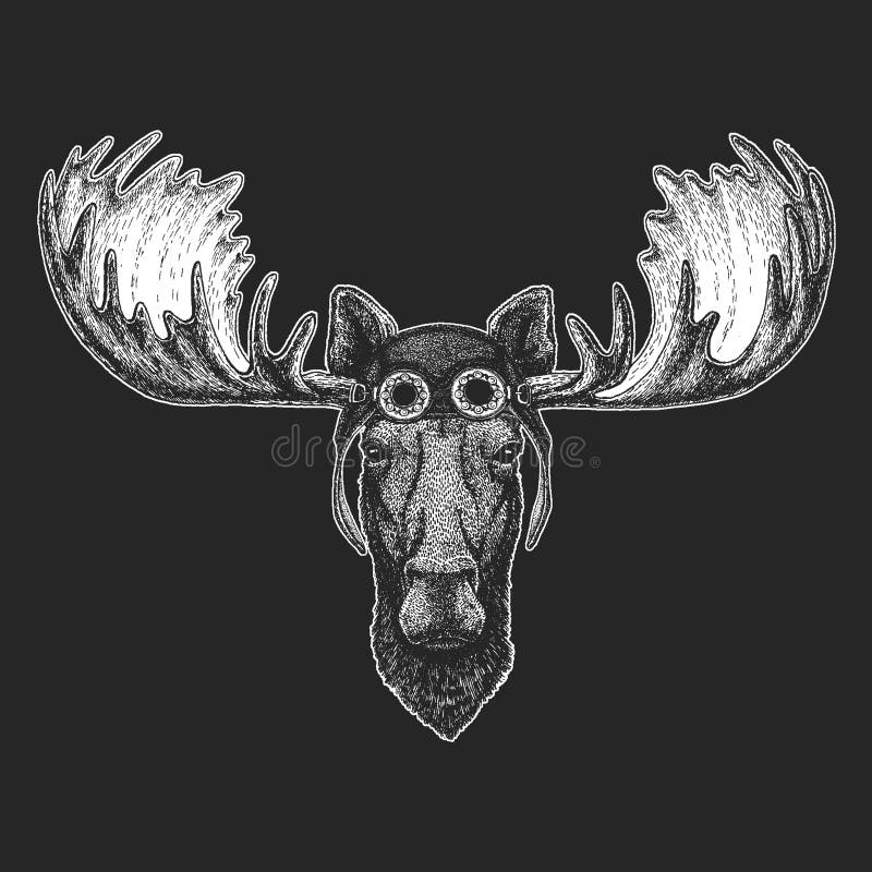 Los alces, alces dan el ejemplo exhausto para el tatuaje, emblema, insignia, logotipo, remiendo, aviador que lleva animal fresco ilustración del vector Los alces, alces dan el ejemplo exhausto para el tatuaje, emblema, insignia, logotipo, remiendo, aviador que lleva animal fresco ilustración del vector