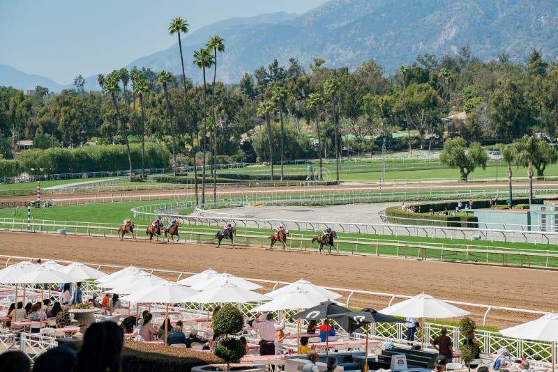 Horse Racing in Santa Anita Park Editorial Photo - Image of gambling ...