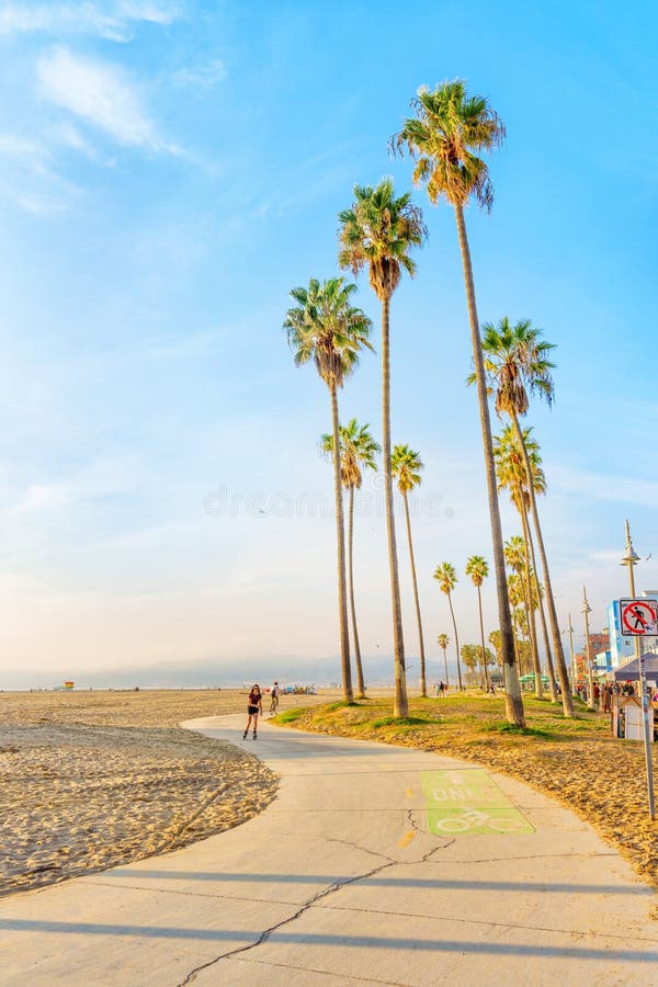 Los Angeles, California - December 29, 2022: Rollerblading among Palm Trees on Venice Beach