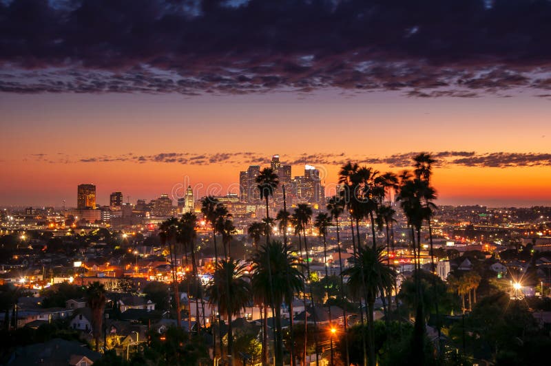 Beautiful sunset through the palm trees, Los Angeles, California. Beautiful sunset through the palm trees, Los Angeles, California