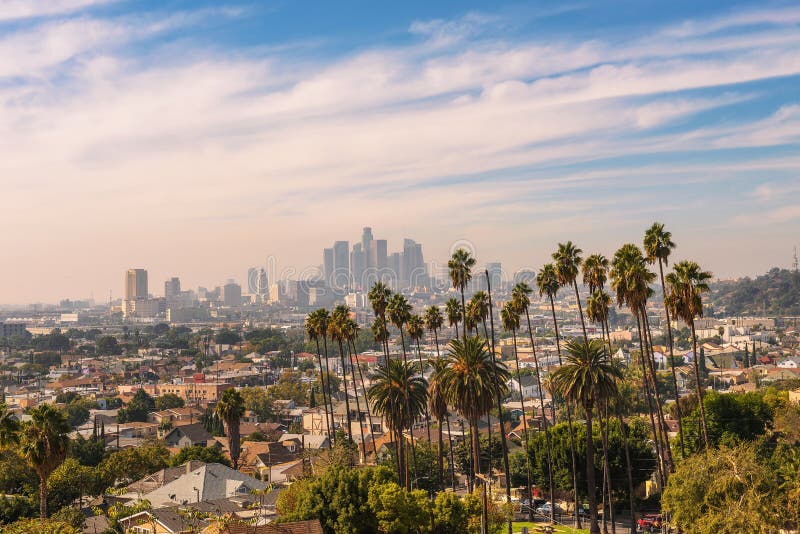 Los Angeles horisont på solnedgången med palmträd i förgrunden fotografering för bildbyråer Los Angeles horisont på solnedgången med palmträd i förgrunden fotografering för bildbyråer